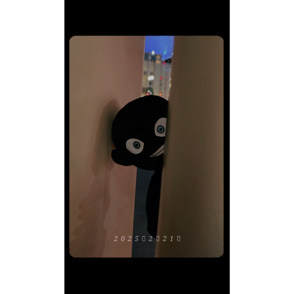 ☆魔境夢遊☆日本環球 名偵探柯南黑衣人 犯人娃娃 最後現貨-細節圖2