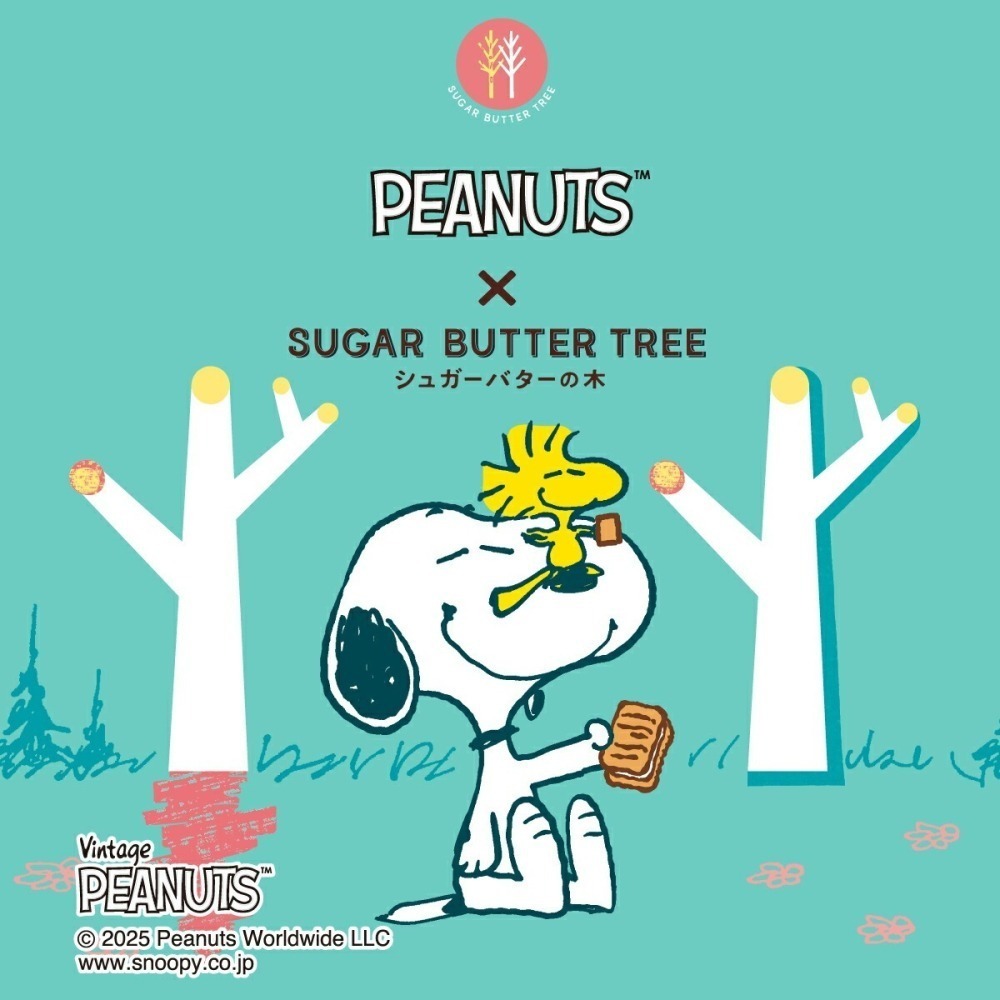 ☆魔境夢遊☆日本sugar butter tree x snnopy史努比聯名 鐵盒餅乾 折疊購物袋-細節圖2