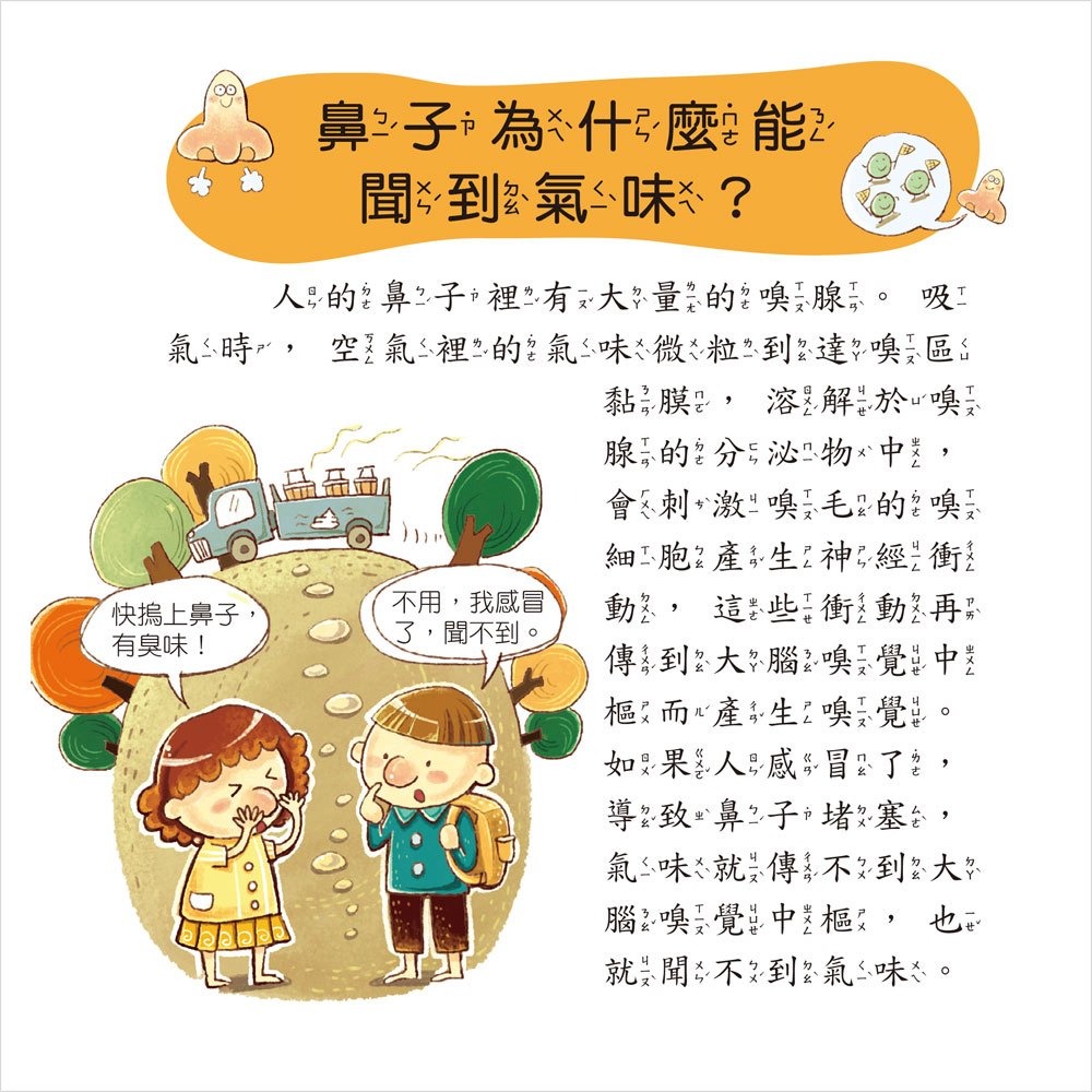 💛全新現貨💛《幼福》人體小百科💖小小孩💖-細節圖5