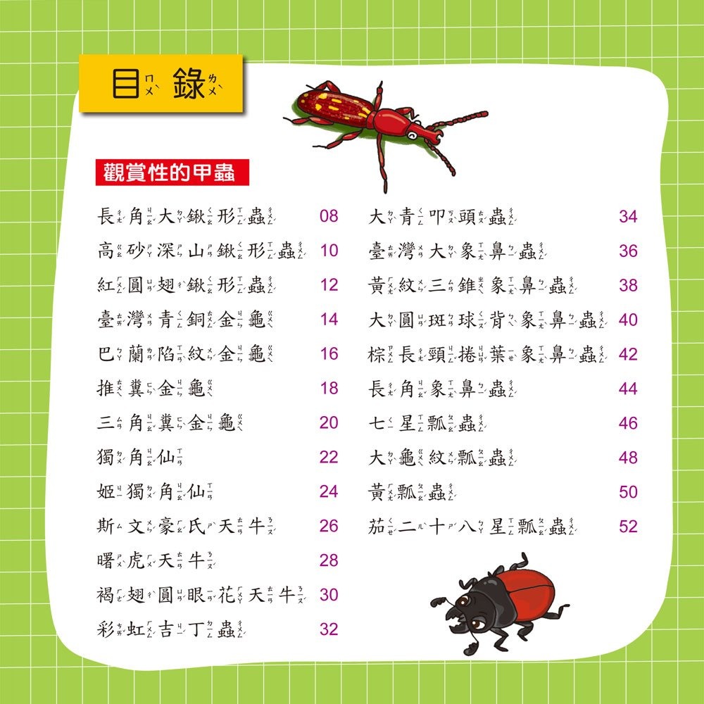 💛全新現貨💛《幼福》甲蟲小百科💖小小孩💖-細節圖2