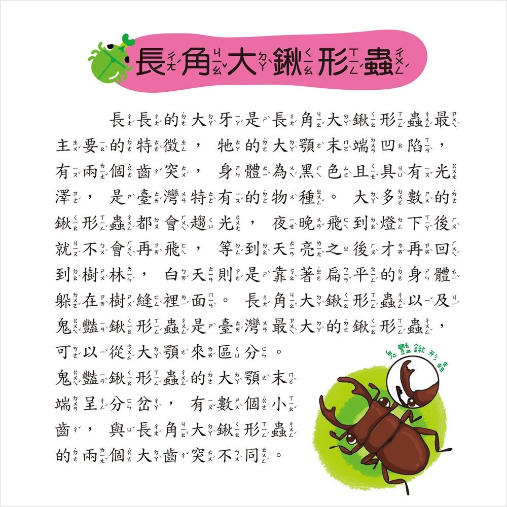 💛全新現貨💛《幼福》甲蟲小百科💖小小孩💖-細節圖4