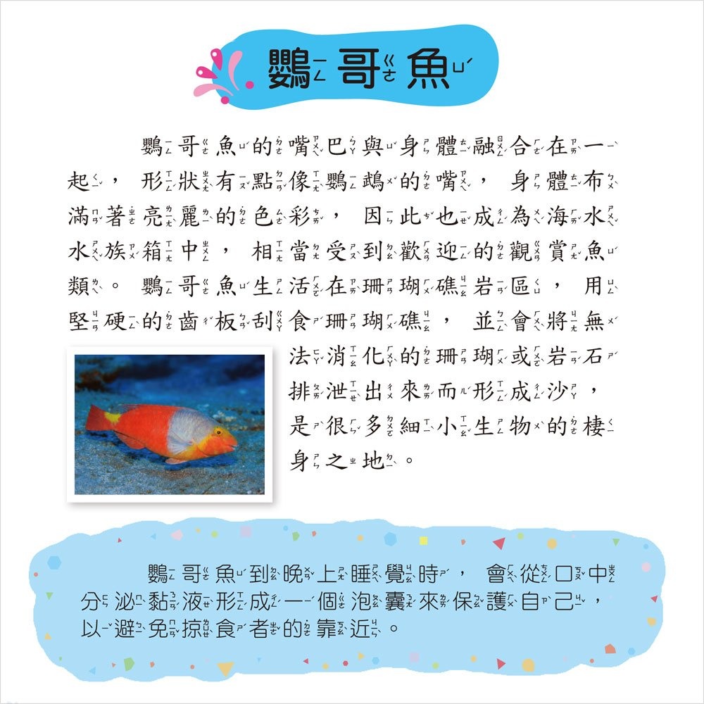 💛全新現貨💛《幼福》海洋小百科💖小小孩💖-細節圖4