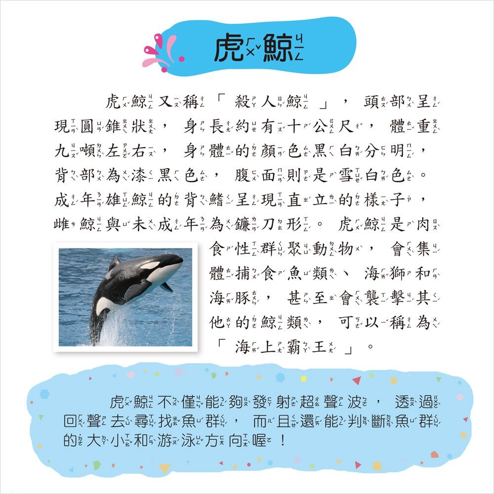 💛全新現貨💛《幼福》海洋小百科💖小小孩💖-細節圖6