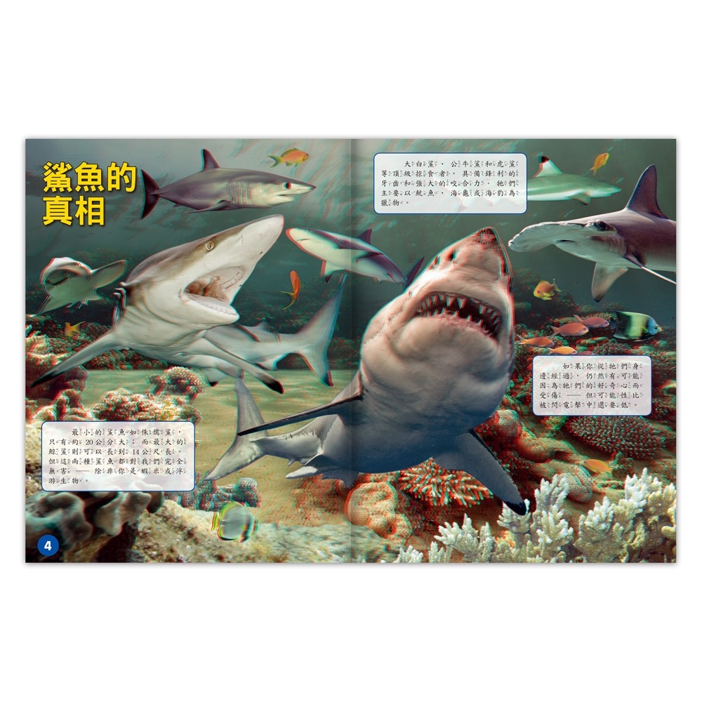 💛全新現貨💛《風車》海洋霸主．鯊魚探祕：3D立體擬真場景，震撼視覺💖小小孩💖-細節圖3