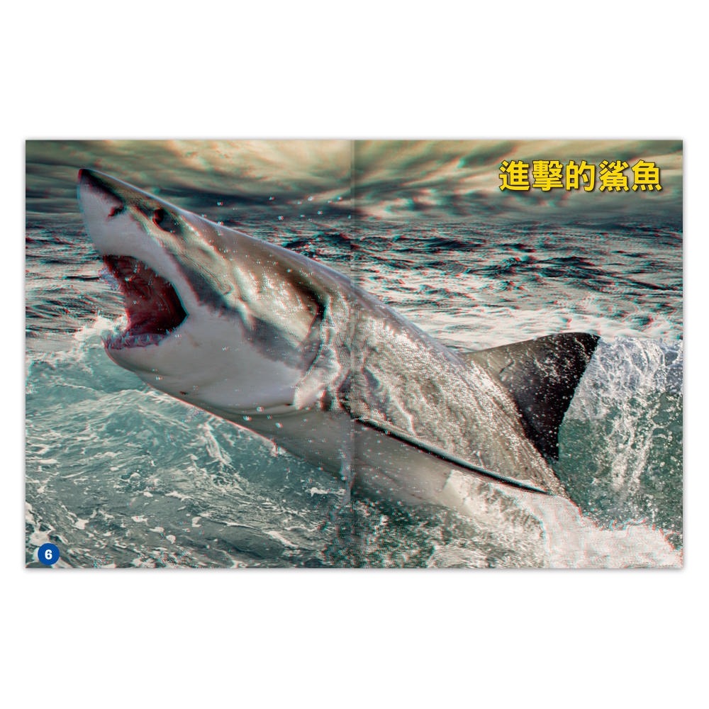💛全新現貨💛《風車》海洋霸主．鯊魚探祕：3D立體擬真場景，震撼視覺💖小小孩💖-細節圖4