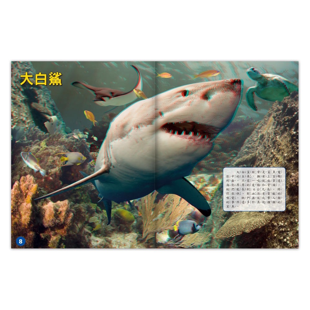 💛全新現貨💛《風車》海洋霸主．鯊魚探祕：3D立體擬真場景，震撼視覺💖小小孩💖-細節圖5