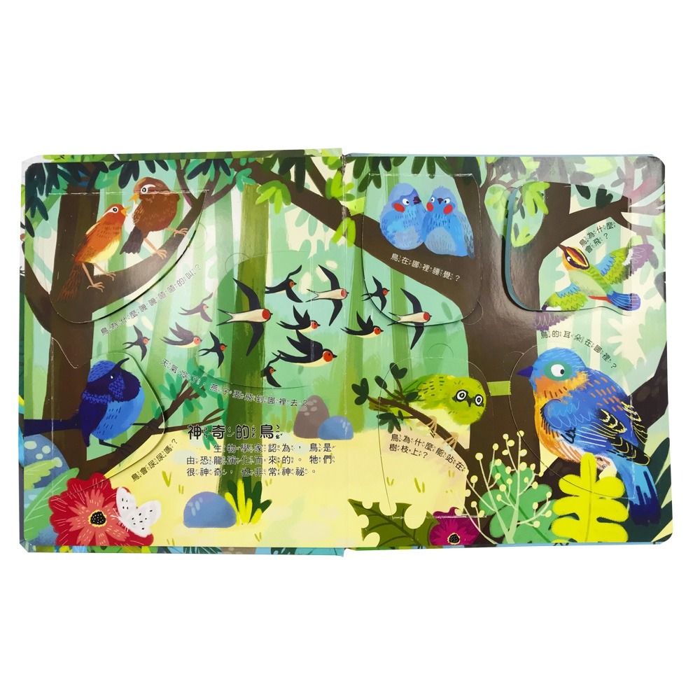 💛全新現貨💛《幼福》你問我答翻翻書：鳥類擁有大絕技？💖小小孩💖-細節圖4