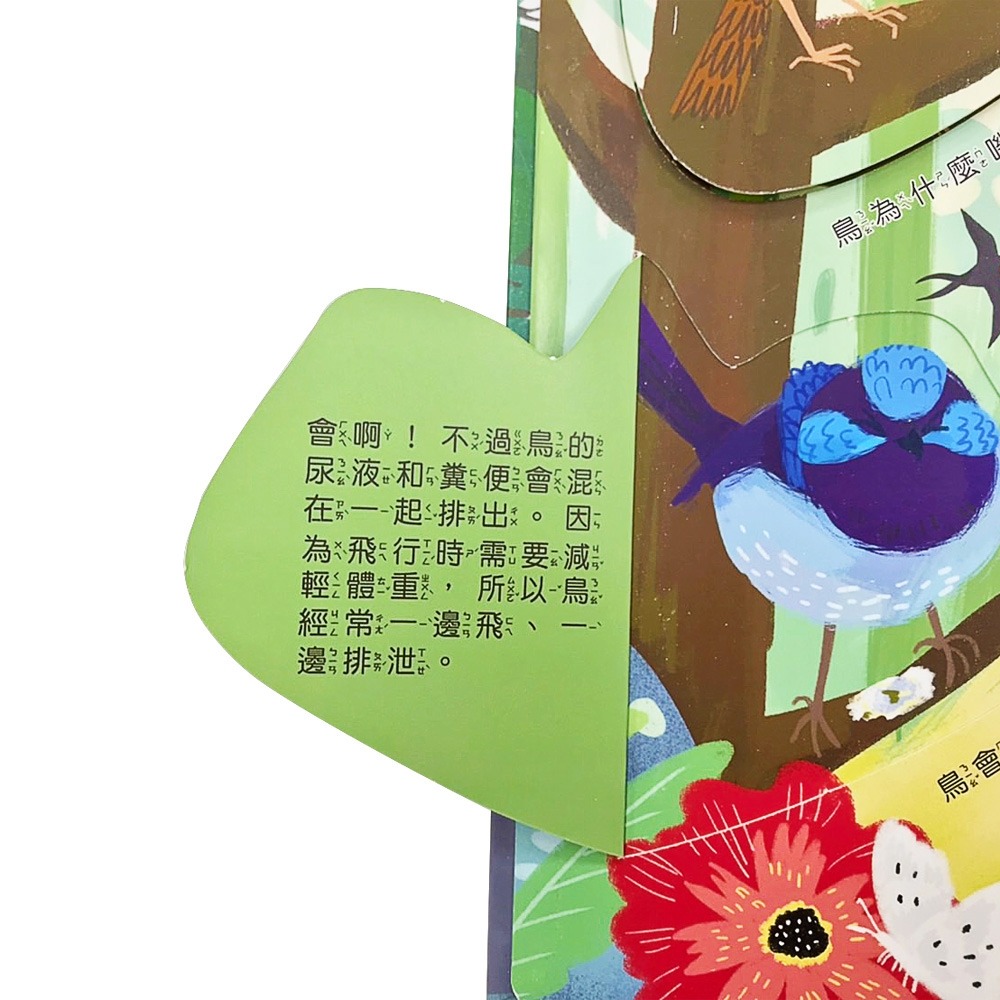 💛全新現貨💛《幼福》你問我答翻翻書：鳥類擁有大絕技？💖小小孩💖-細節圖5