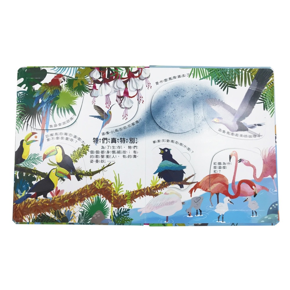 💛全新現貨💛《幼福》你問我答翻翻書：鳥類擁有大絕技？💖小小孩💖-細節圖6