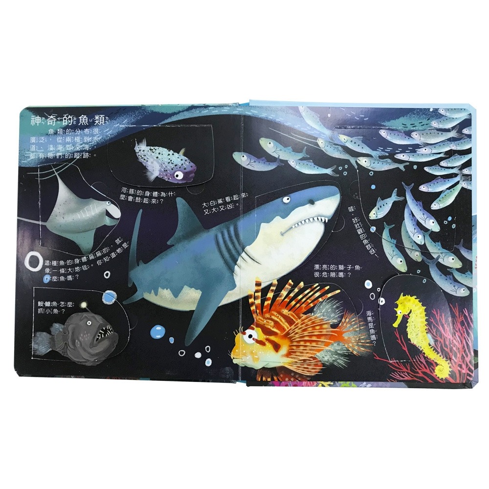 💛全新現貨💛《幼福》你問我答翻翻書：大海藏著小祕密？💖小小孩💖-細節圖4