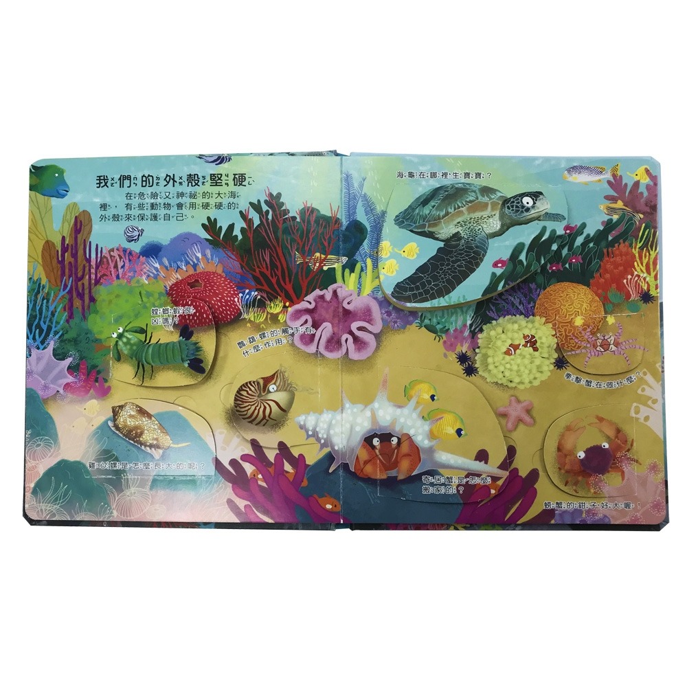 💛全新現貨💛《幼福》你問我答翻翻書：大海藏著小祕密？💖小小孩💖-細節圖6