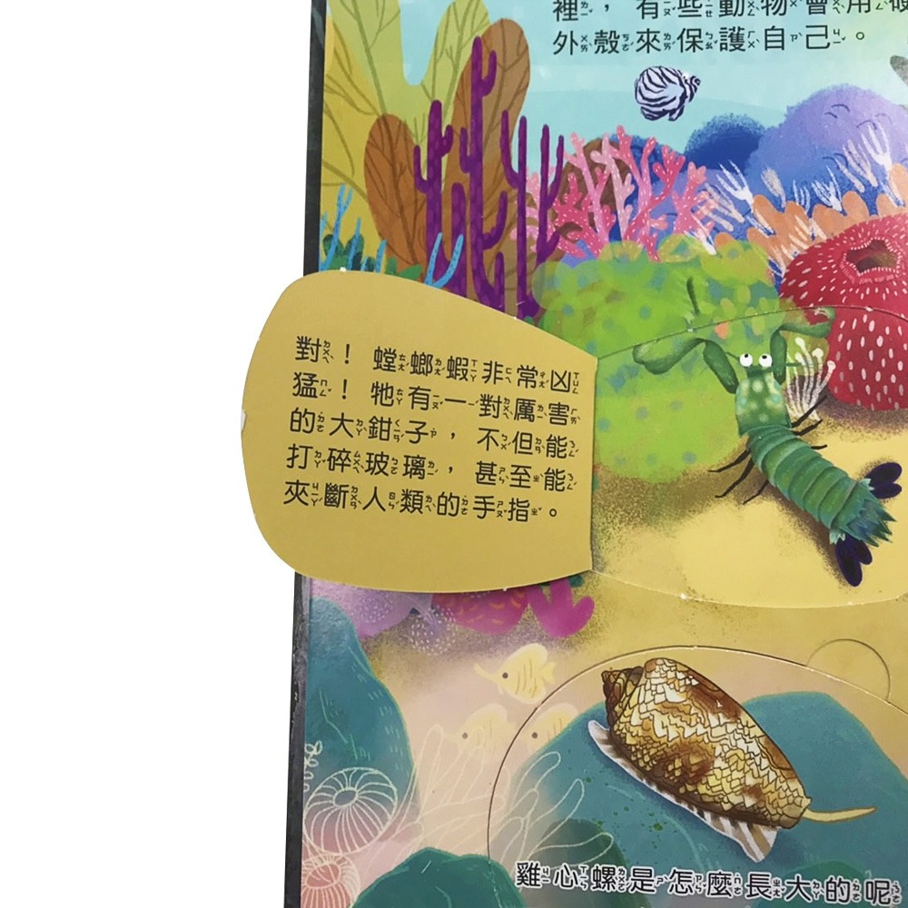 💛全新現貨💛《幼福》你問我答翻翻書：大海藏著小祕密？💖小小孩💖-細節圖7