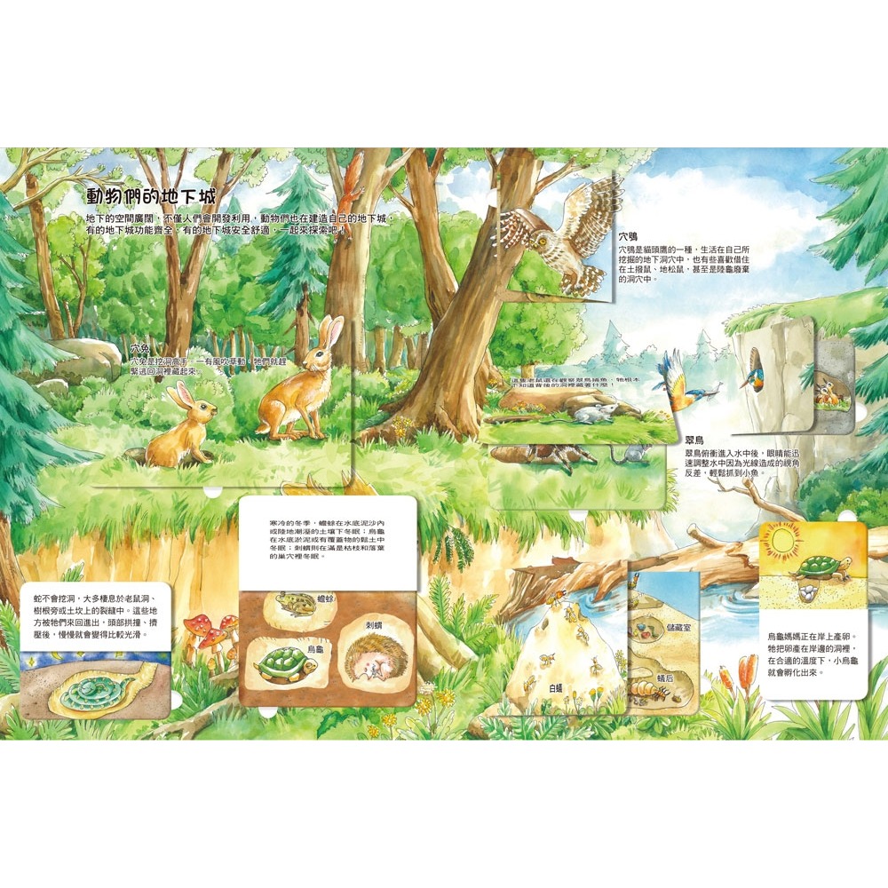 💛全新現貨💛《双美生活文創》我的STEAM翻翻書：深不可測的地底（7個場景+42個翻頁小機關）💖小小孩💖-細節圖5
