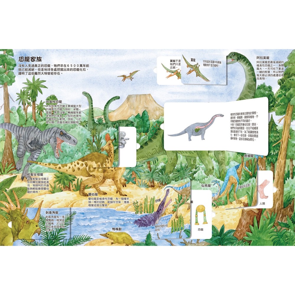 💛全新現貨💛《双美生活文創》我的STEAM翻翻書：霸氣神秘的恐龍（7個場景+47個翻頁小機關）💖小小孩💖-細節圖4