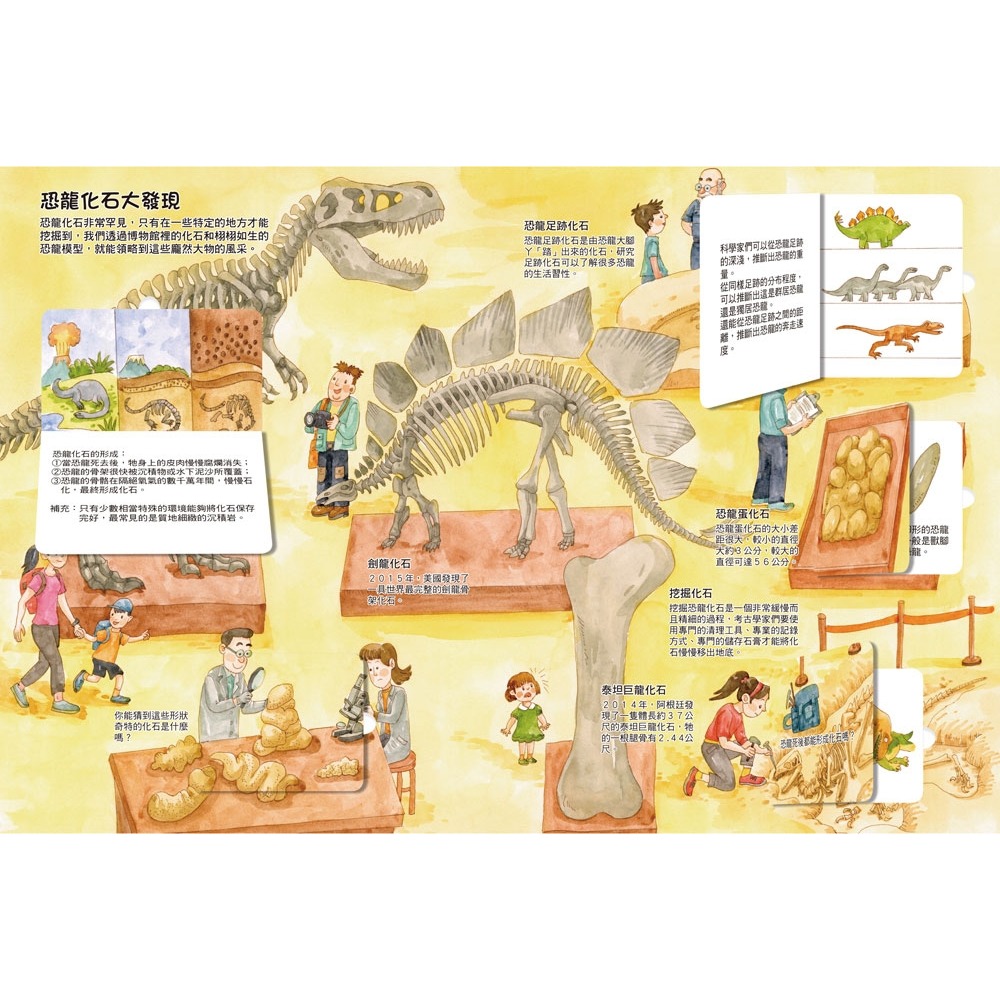 💛全新現貨💛《双美生活文創》我的STEAM翻翻書：霸氣神秘的恐龍（7個場景+47個翻頁小機關）💖小小孩💖-細節圖6