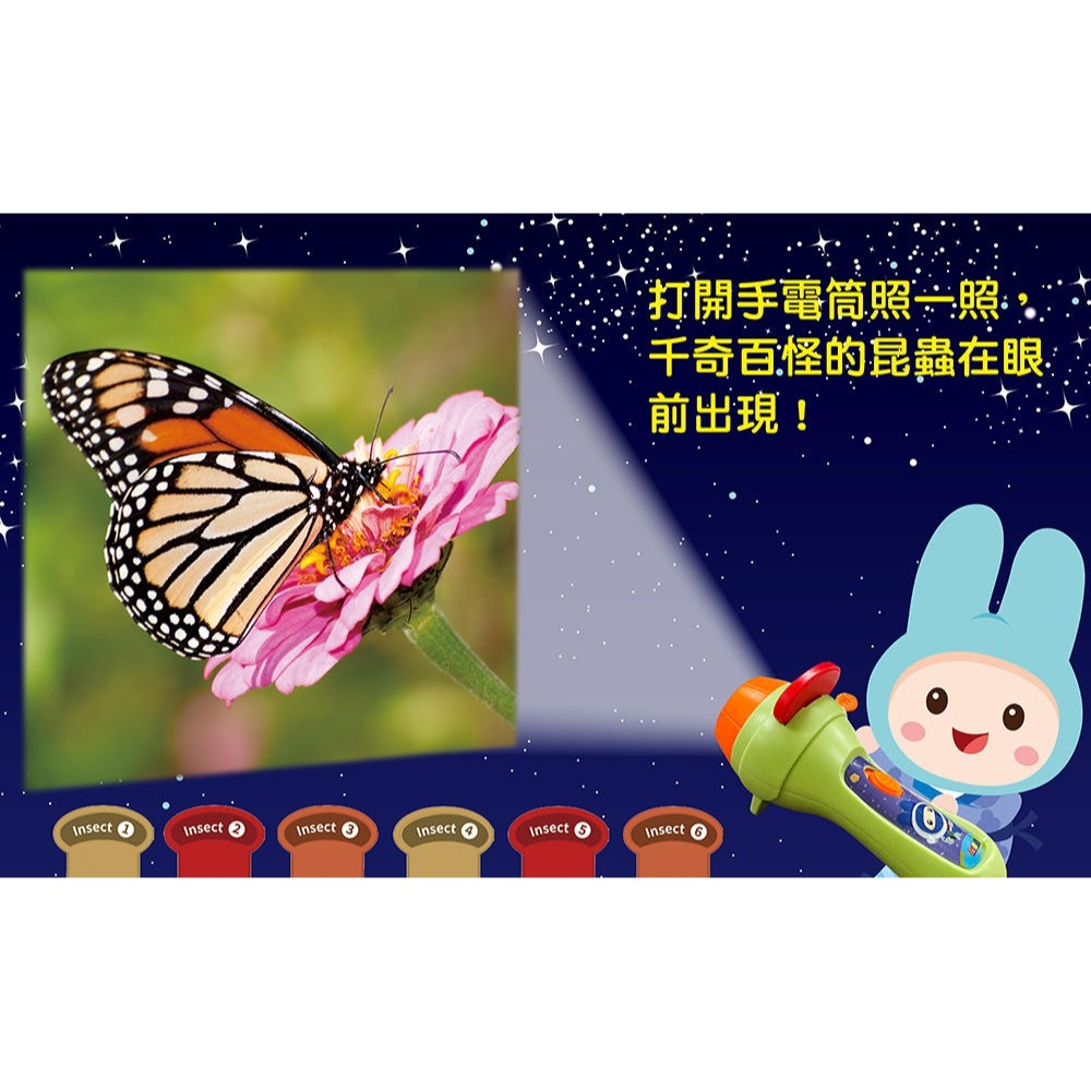 💛全新現貨💛《幼福》忍者兔魔法投影手電筒：昆蟲王國百科圖鑑 48張投影影像，帶你認識各種奇妙有趣的昆蟲💖小小孩💖-細節圖4