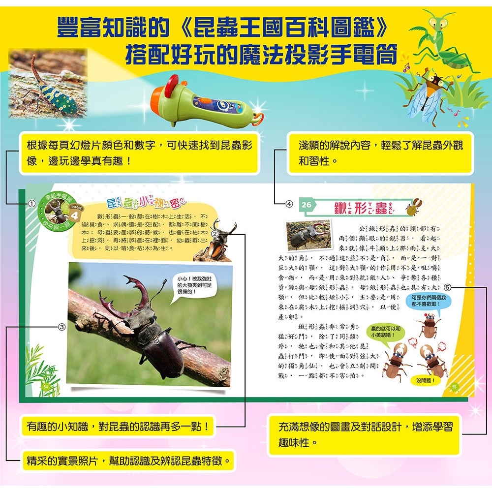 💛全新現貨💛《幼福》忍者兔魔法投影手電筒：昆蟲王國百科圖鑑 48張投影影像，帶你認識各種奇妙有趣的昆蟲💖小小孩💖-細節圖6