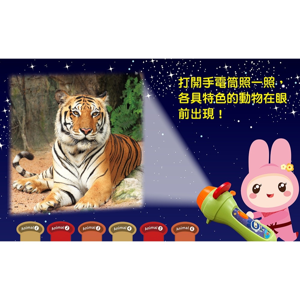 💛全新現貨💛《幼福》忍者兔魔法投影手電筒：奇妙動物百科圖鑑【48張投影影像，帶你認識各種可愛的動物！】💖小小孩💖-細節圖4