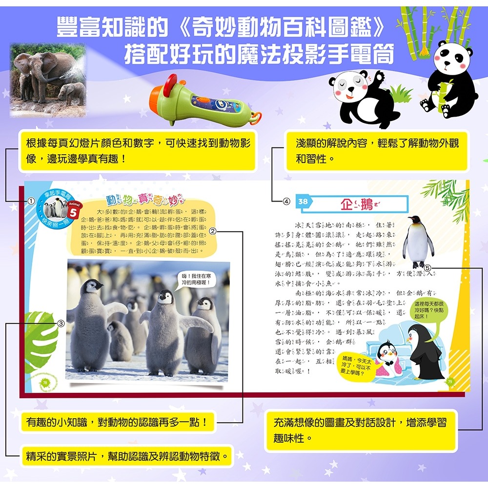 💛全新現貨💛《幼福》忍者兔魔法投影手電筒：奇妙動物百科圖鑑【48張投影影像，帶你認識各種可愛的動物！】💖小小孩💖-細節圖6