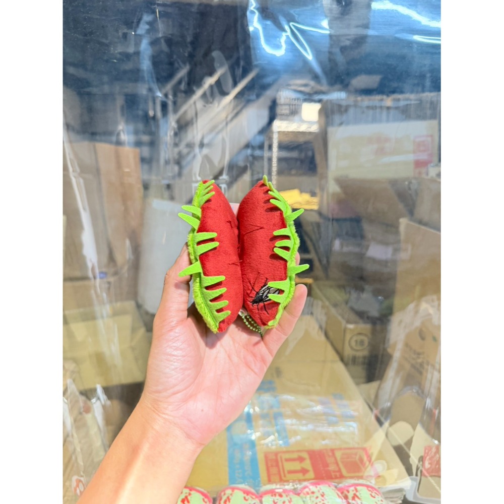 食蟲植物吊飾 零錢包 鑰匙圈 日本植物展 豬籠草 捕蠅草 玩偶 珍奇植物-細節圖2