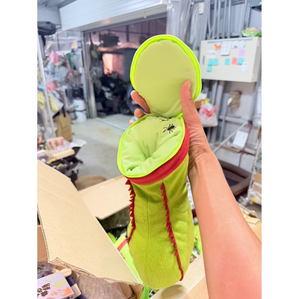 食蟲植物吊飾 零錢包 鑰匙圈 日本植物展 豬籠草 捕蠅草 玩偶 珍奇植物-細節圖4