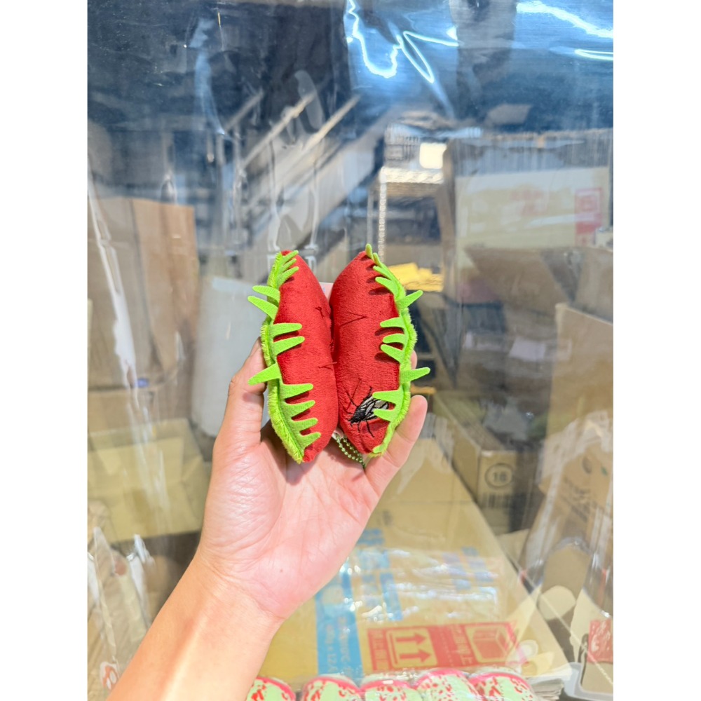 食蟲植物吊飾 零錢包 鑰匙圈 日本植物展 豬籠草 捕蠅草 玩偶 珍奇植物-規格圖11