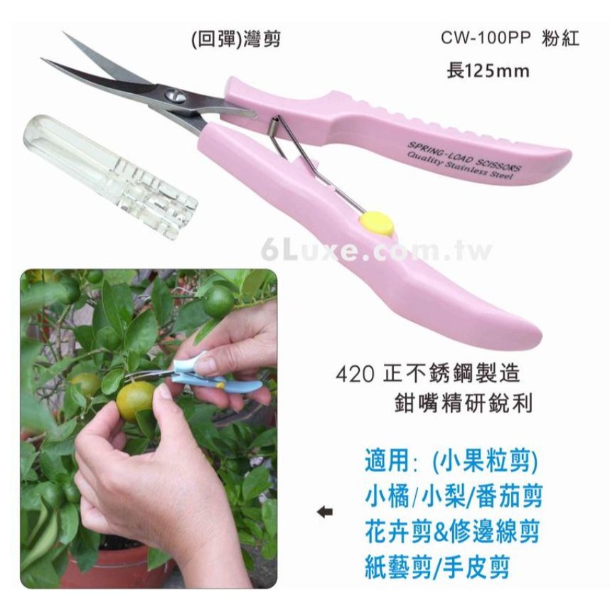 【現貨】雙菱高級彎剪,小剪刀,手皮剪,彎剪,指甲剪,工作剪-細節圖2