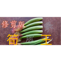 筍王 國產 帶殼 修剪版 紅鬚玉米筍 整箱購 中秋 烤肉 滷味 火鍋 團購 產地直購