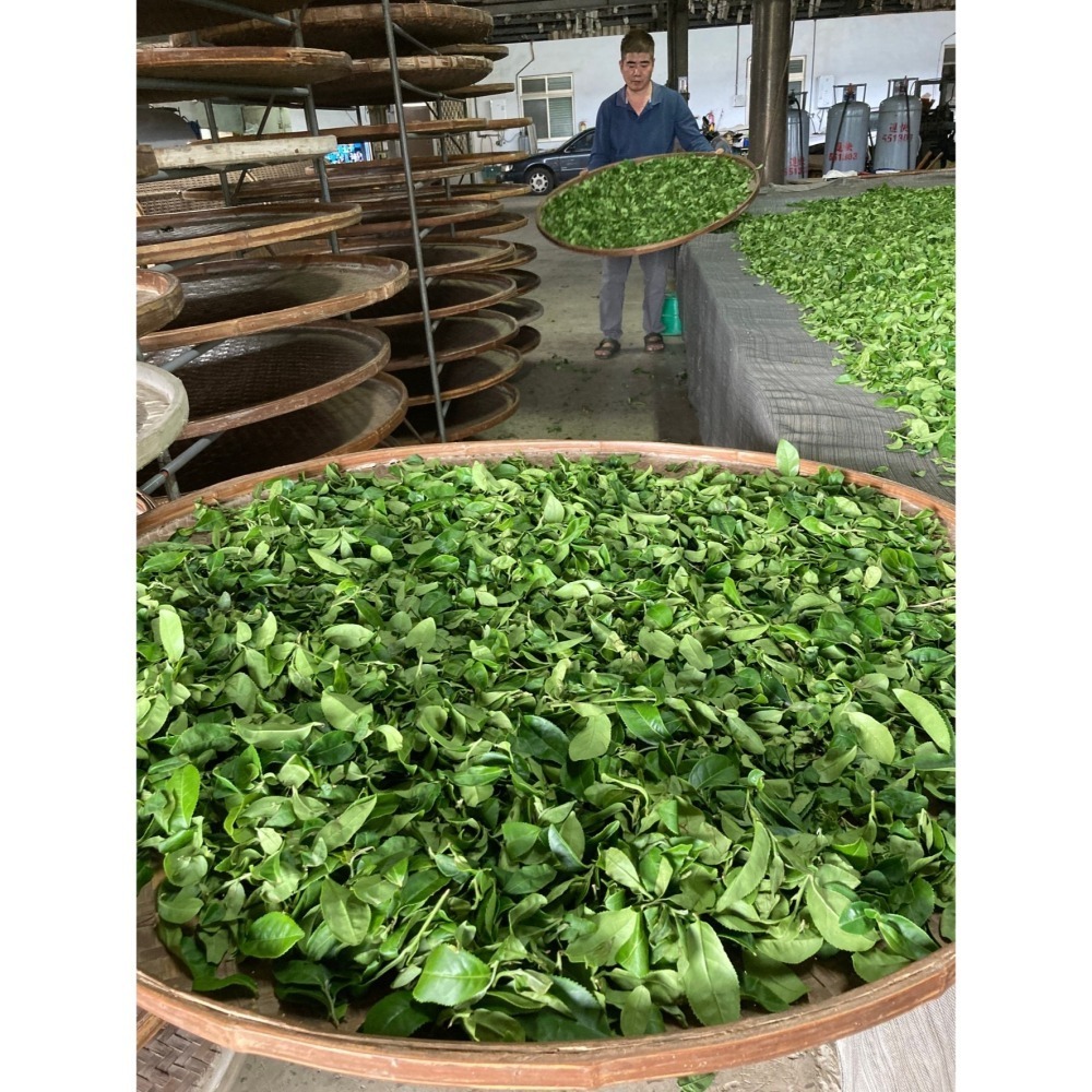 新元昌茶園｜紅烏龍茶 台東鹿野紅烏龍 鐵罐附提袋-細節圖7
