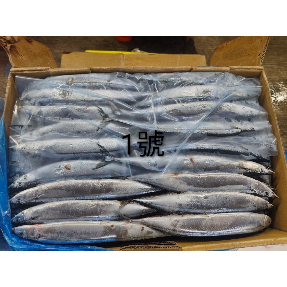 台灣 秋刀魚 整尾 10KG(含箱重)-規格圖2