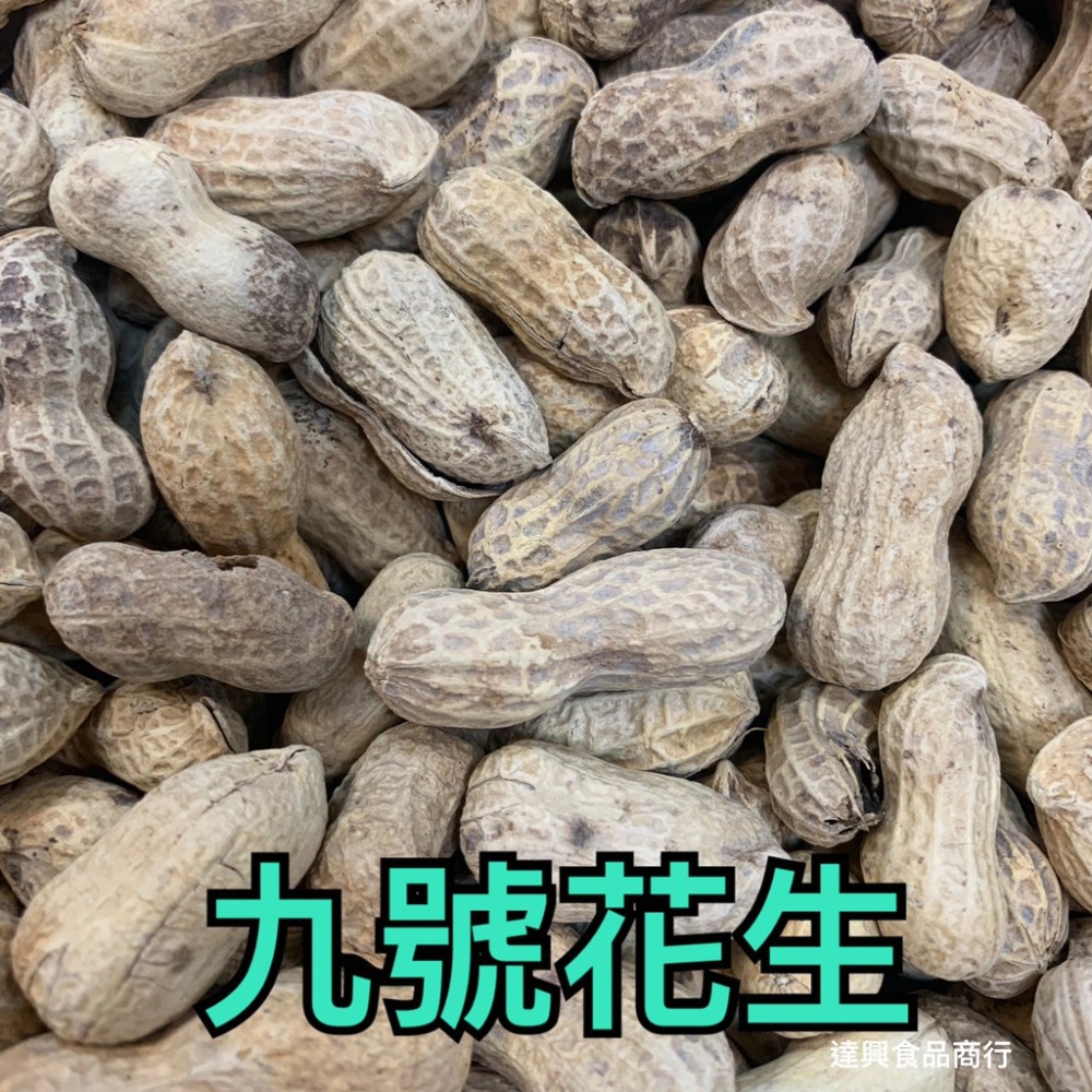 蒜味花生 九號蒜味花生 開心果 養生果仁 白瓜子 甘草瓜子 葵瓜子 五香瓜子 喝茶 下酒 野露營 滿額免運 達興食品-細節圖8