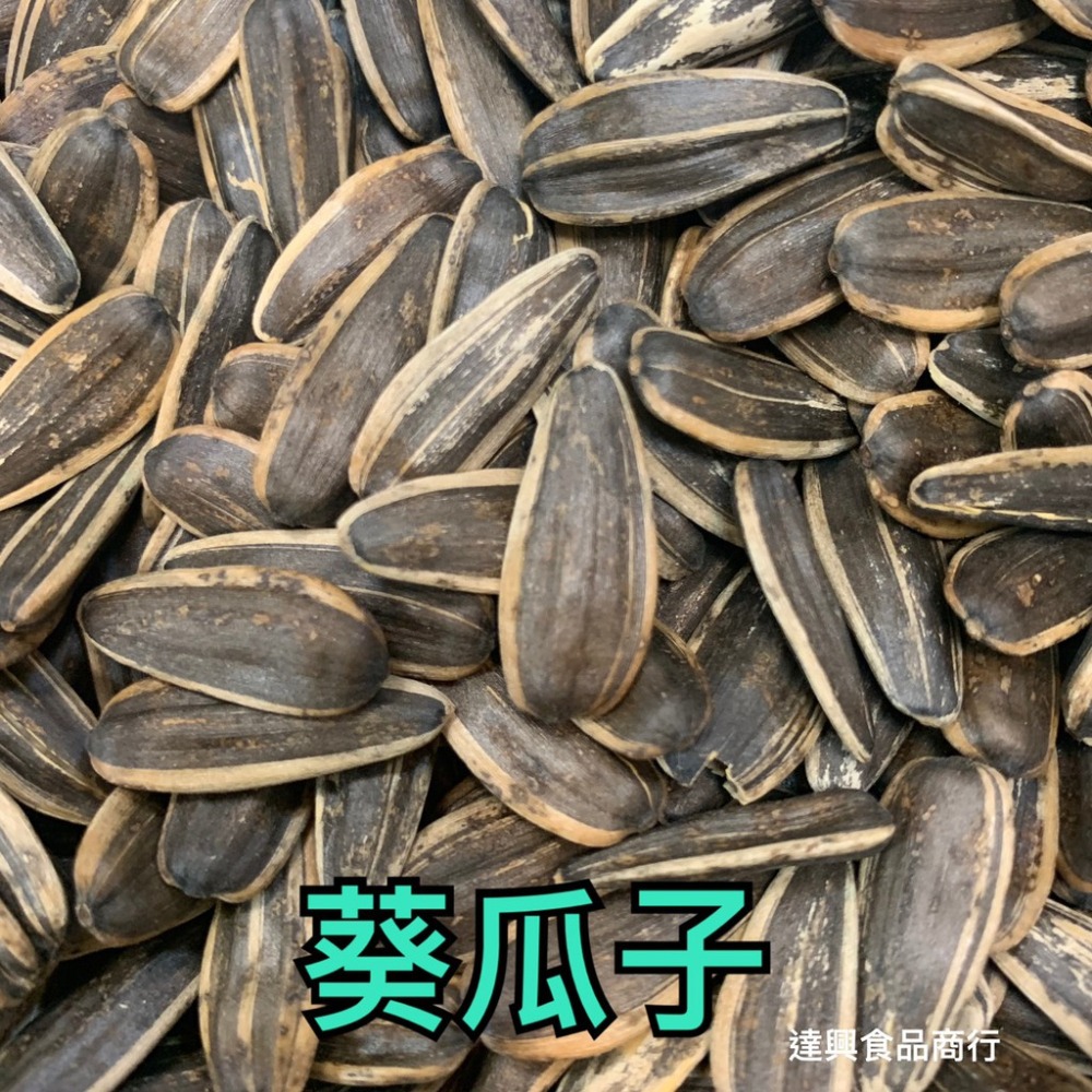蒜味花生 九號蒜味花生 開心果 養生果仁 白瓜子 甘草瓜子 葵瓜子 五香瓜子 喝茶 下酒 野露營 滿額免運 達興食品-細節圖9