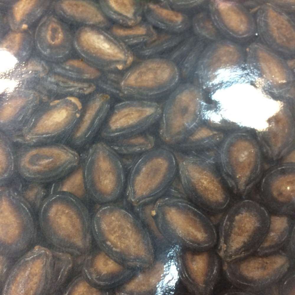 大發  卓 甘草瓜子 300g夾鏈袋裝 工廠直營 台灣瓜子 大顆 好開 甘甜 封口 泡茶 下酒 滿額免運【達興食品】-細節圖3