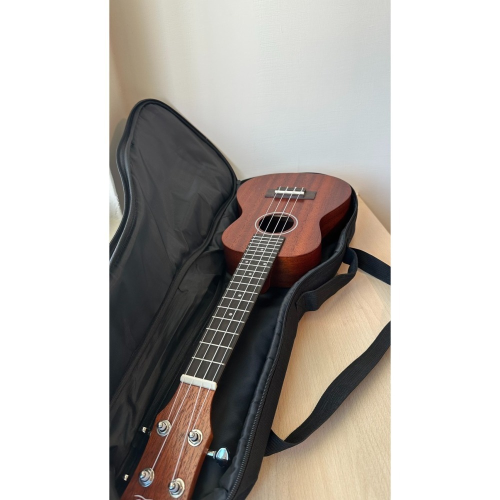 二手Pukanala 烏克麗麗 初學使用 學校推薦用（附原廠專用外出背袋） 九成新-細節圖9