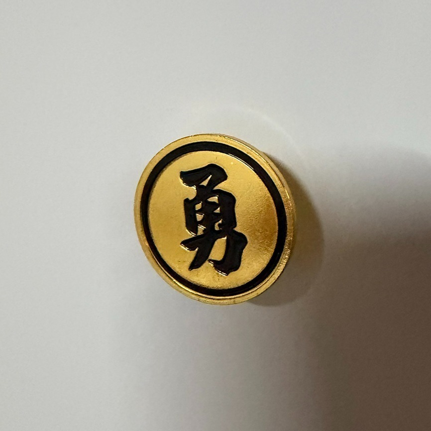 白沙屯媽祖 繞境 結緣品 勇字 徽章 胸針 冰箱貼 現貨 2026 丙午結緣 金屬-細節圖9