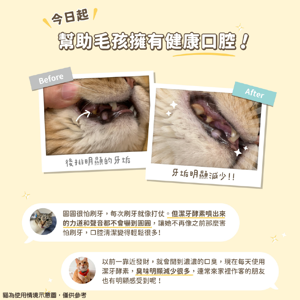 (犬貓可用 噴劑型) 汪喵星球 貓咪潔牙 貓狗潔牙 潔牙護理酵素 寵物口腔 寵物潔牙-細節圖5