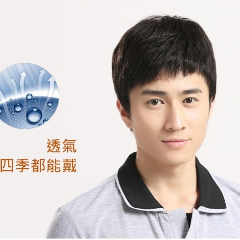 男假髮 真人髮絲 帥氣年輕- 男短髮 整頭假髮 【黑二髮品】OTDC-細節圖3