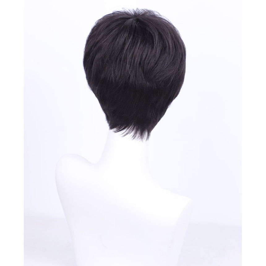 男士假髮 整頂假髮 真髮 短髮-韓版髮型 透氣內網 逼真頭頂 掉髮可戴 禿頂適用 變換造型【黑二髮品】OTBZB-細節圖4