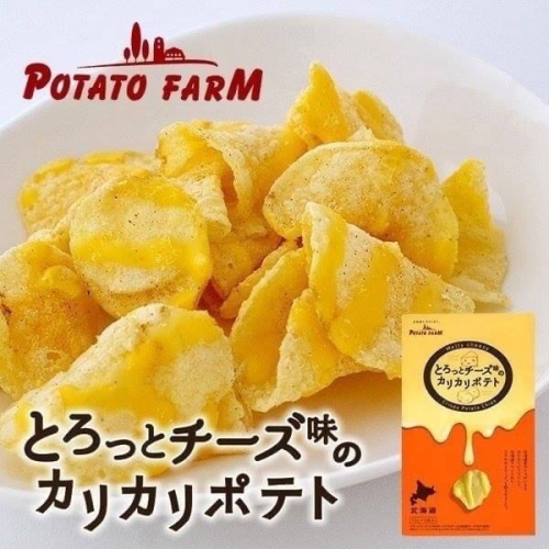 現貨+預購 ✈️北海道限定 薯條三兄弟 半溶起司洋芋片