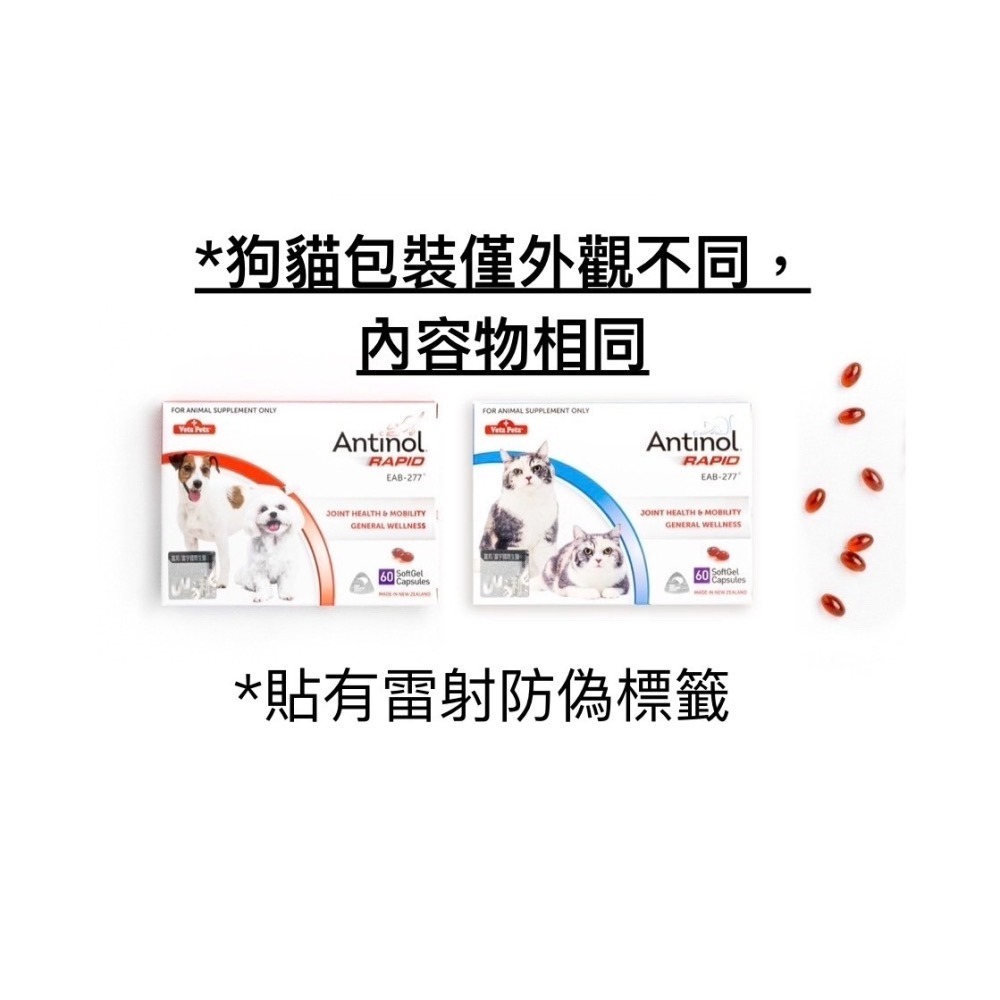 安適得  酷版  60顆  150顆  關節保健  綠唇貽貝-細節圖4