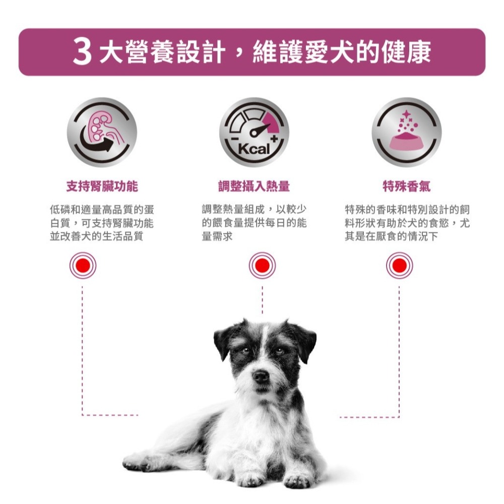 皇家 狗飼料 處方飼料 RSD14 犬 腎臟病小型犬配方乾糧 3.5KG-細節圖3