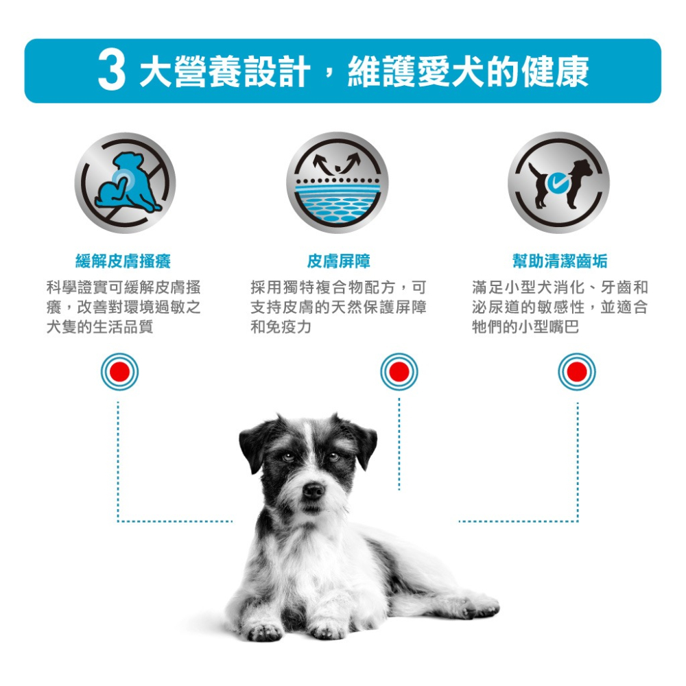 皇家 STS25 犬 異位性皮膚炎小型犬乾糧 4公斤｜低敏護膚配方 緩解搔癢 提升皮膚防護力-細節圖2