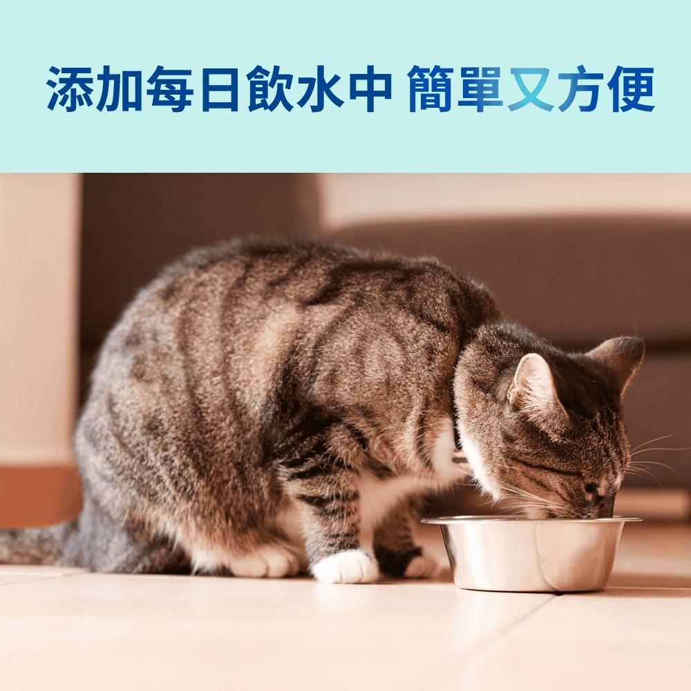維克 VOHC認證 C.E.T.® Aquadent® 益口清​ 犬貓專用飲水潔牙液 250ML  牙結石 牙菌斑-細節圖3