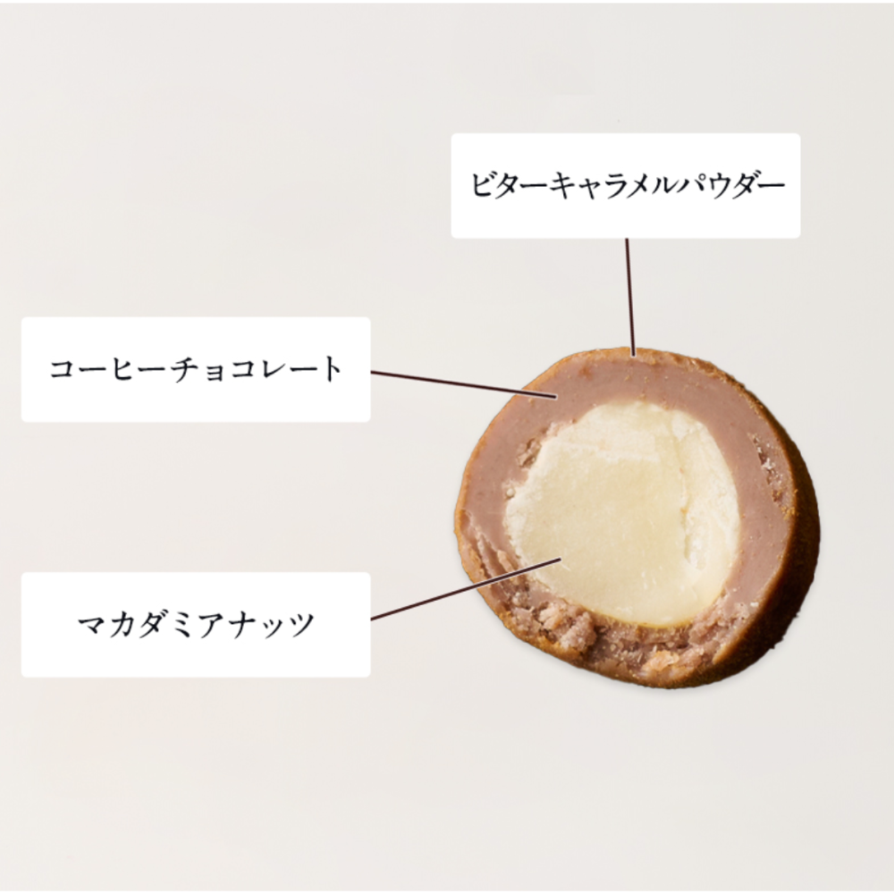 ［1/11-1/14飛✈️福岡代購］LeTAO Chocolat原粒草莓巧克力/夏威夷果巧克力-細節圖6