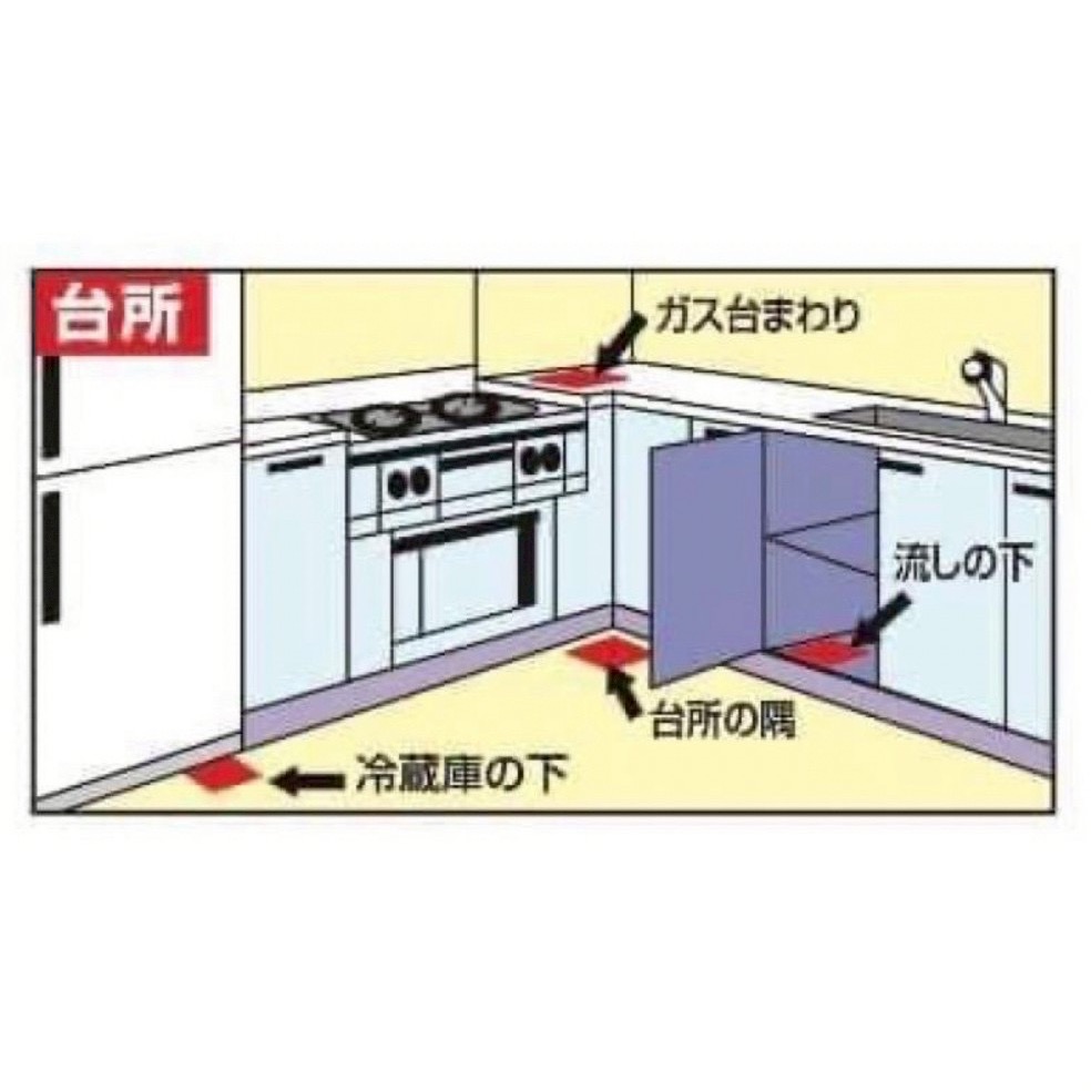 日本｜高人氣蟑螂屋 24入-細節圖5