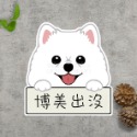 [圖鑑1~20]狗狗貓貓出沒貼紙 防水貼紙 防水防曬標示貼紙-規格圖1