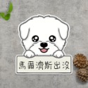 [圖鑑1~20]狗狗貓貓出沒貼紙 防水貼紙 防水防曬標示貼紙-規格圖1