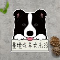 [圖鑑1~20]狗狗貓貓出沒貼紙 防水貼紙 防水防曬標示貼紙-規格圖1