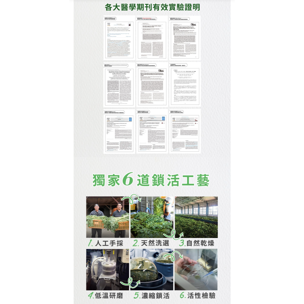 久保雅司 長命草2.0EX黑加強膠囊30顆/長命草速孅王久保雅司 長命草2.0EX黑加強膠囊30顆/長命草速孅王-細節圖3