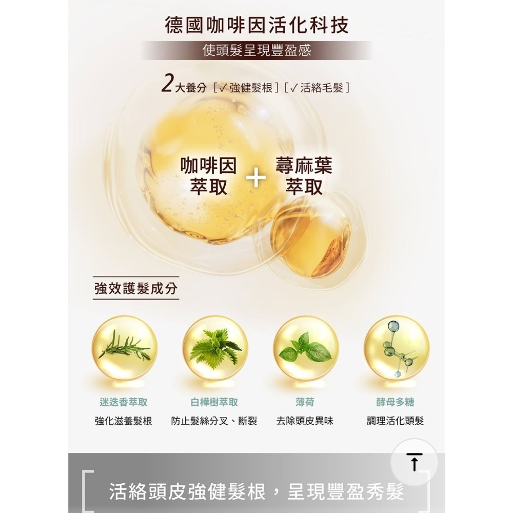 德國紹曼博士正宗咖啡因豐盈芯生洗髮露500ml-細節圖3